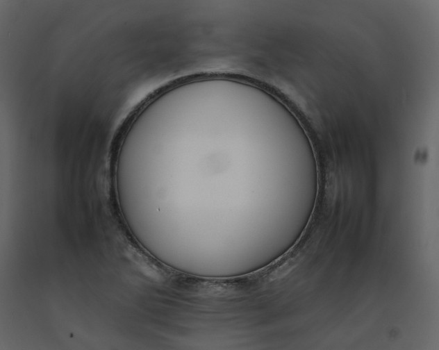 X0000092251270200710051251