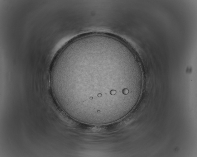 X0000092251271200710051251