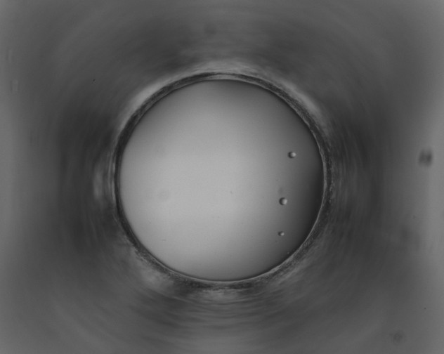 X0000092251272200710051251