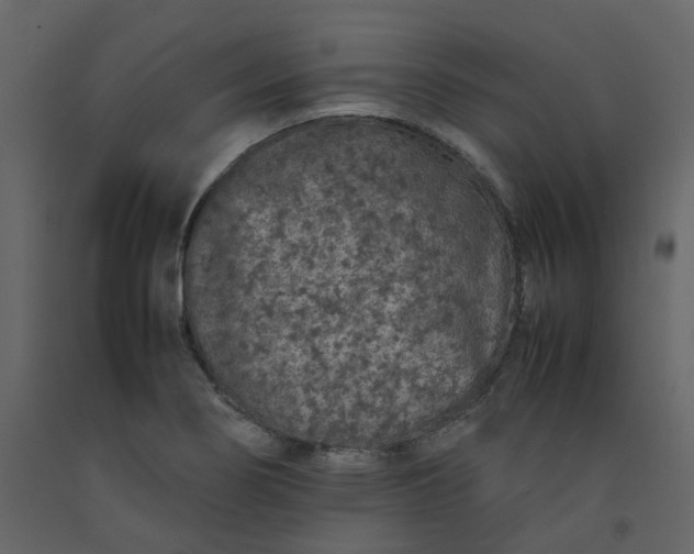 X0000092251274200710051251