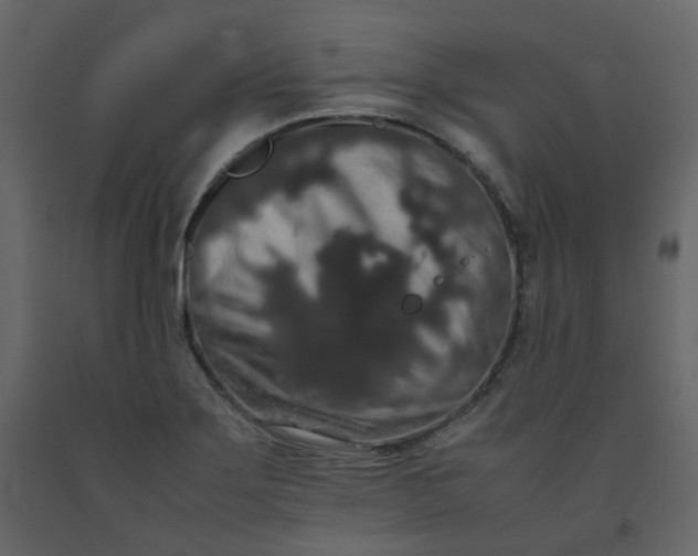 X0000092251275200710051251