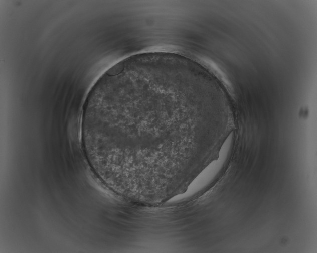 X0000092251276200710051251