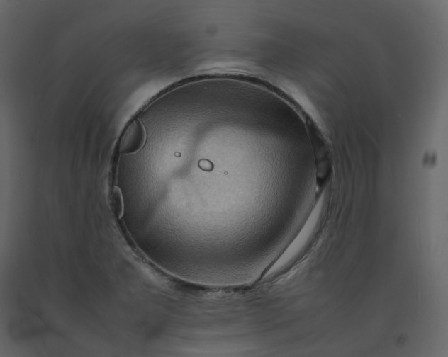 X0000092251277200710051251