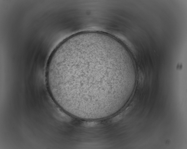 X0000092251278200710051251