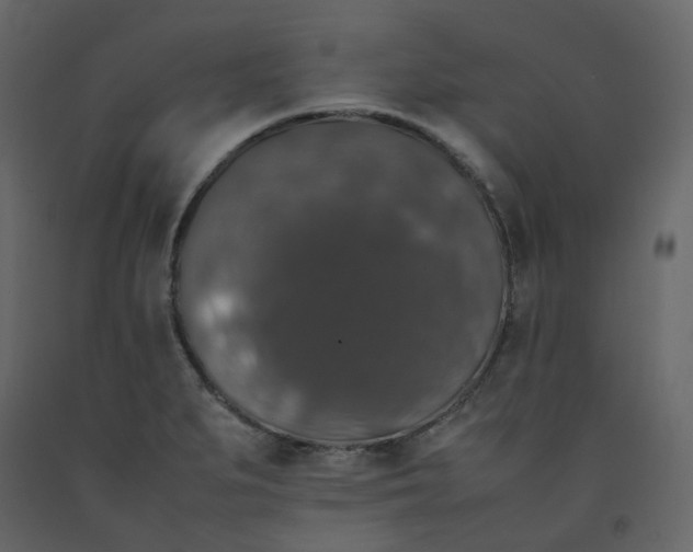 X0000092251279200710051251