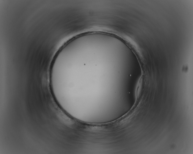 X0000092251280200710051251