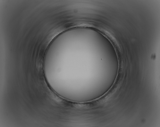 X0000092251281200710051251