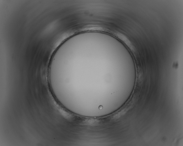 X0000092251282200710051251