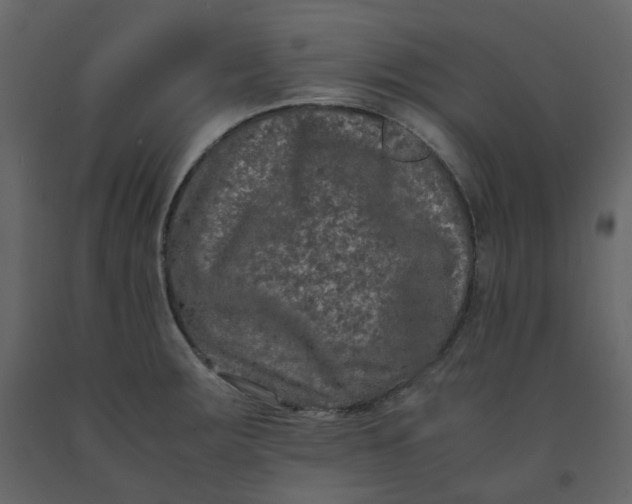 X0000092251283200710051251