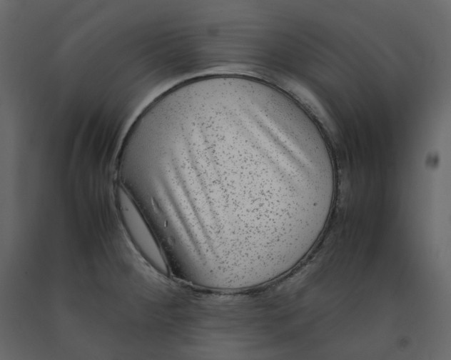 X0000092251284200710051251