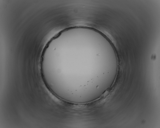 X0000092251285200710051251