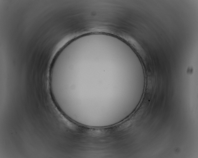 X0000092251286200710051251