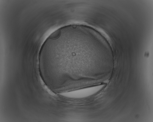 X0000092251287200710051251