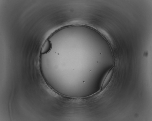 X0000092251288200710051251