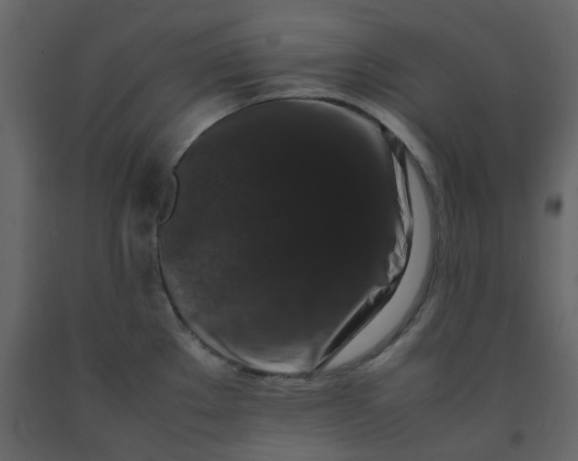 X0000092251289200710051251