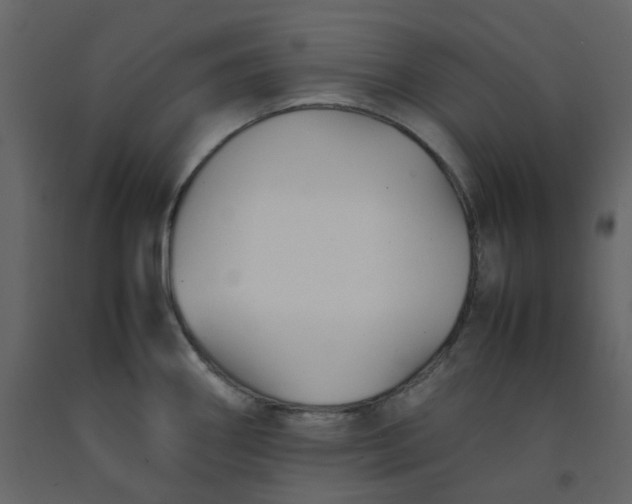 X0000092251290200710051251