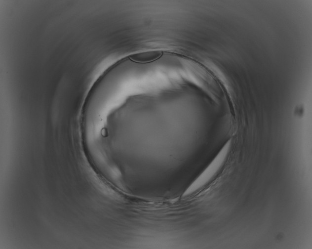 X0000092251291200710051251