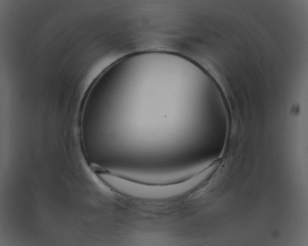 X0000092251293200710051251