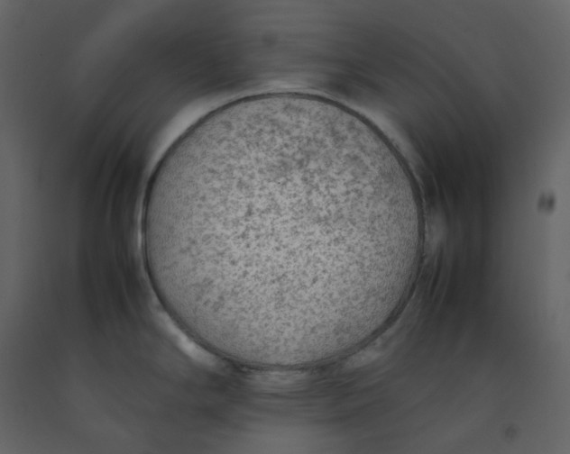 X0000092251294200710051251