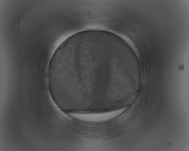 X0000092251295200710051251