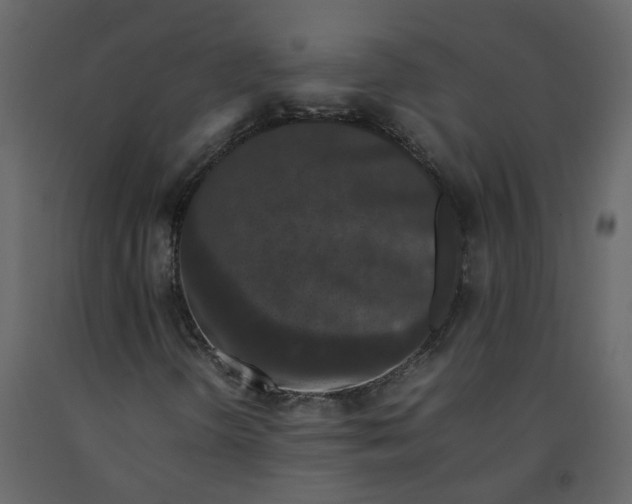 X0000092251298200710051251