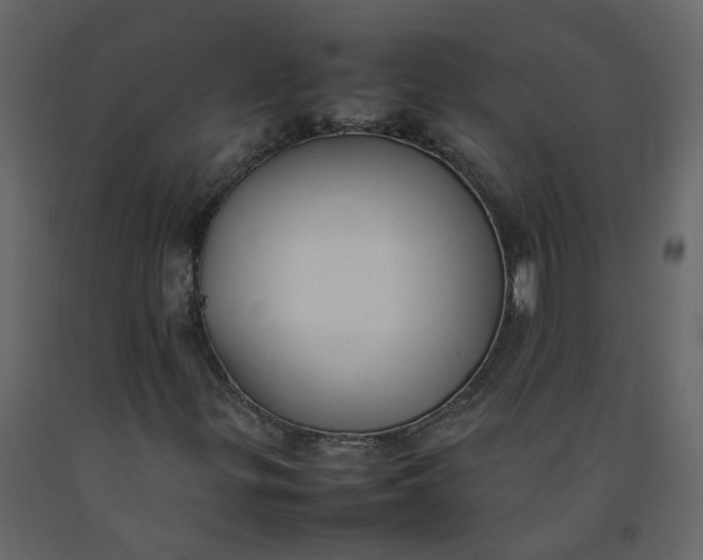 X0000092251299200710051251