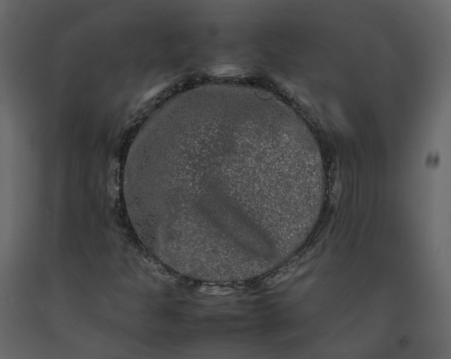 X0000092251301200710051251