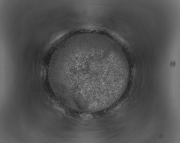 X0000092251302200710051251