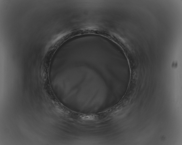 X0000092251303200710051251