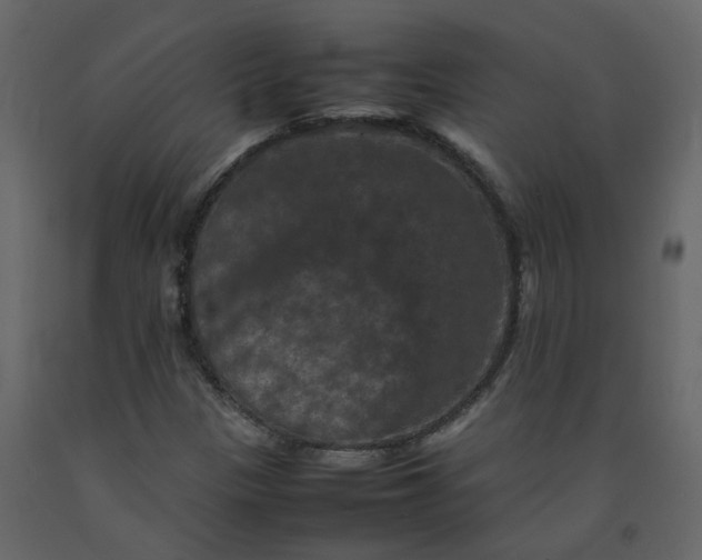 X0000092251305200710051251