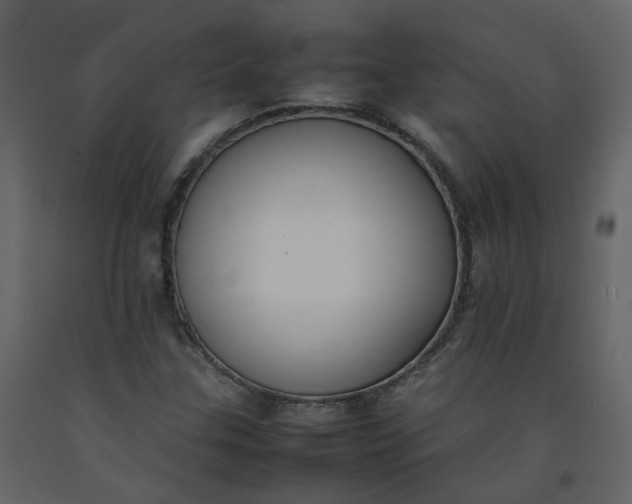 X0000092251307200710051251