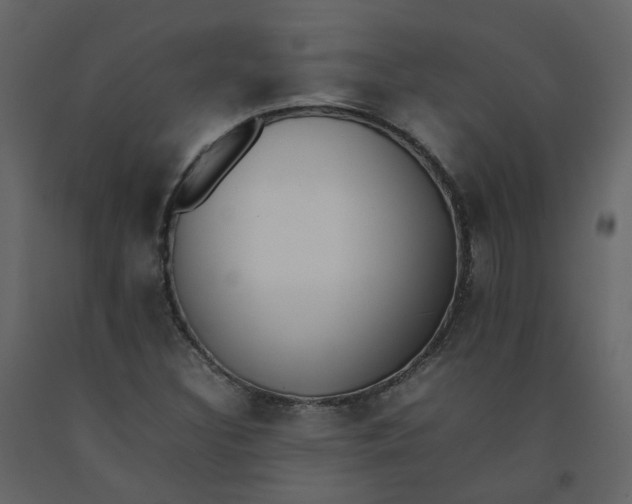 X0000092251308200710051251