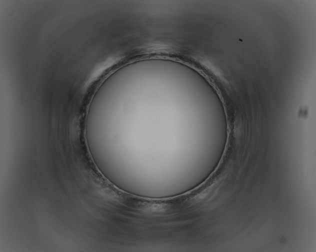 X0000092251309200710051251