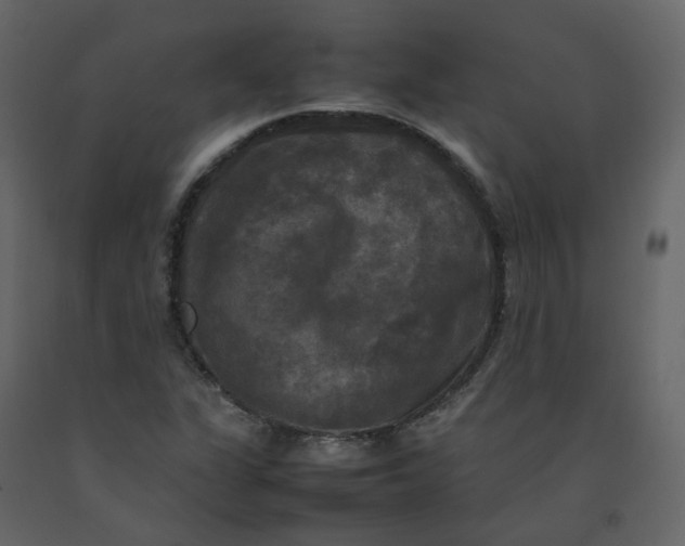 X0000092251311200710051251