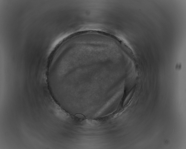 X0000092251312200710051251