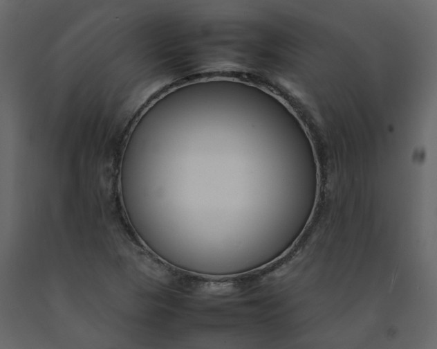 X0000092251313200710051251