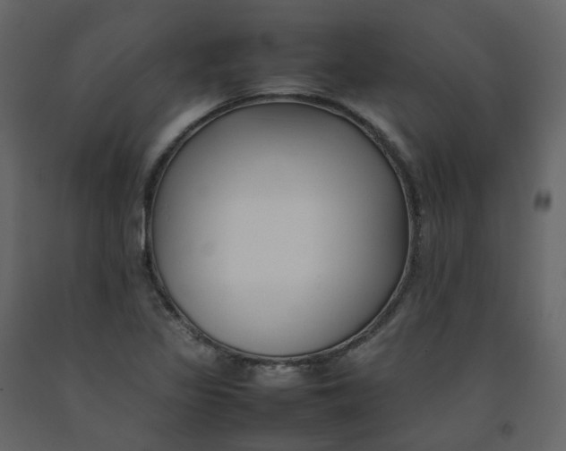 X0000092251317200710051251