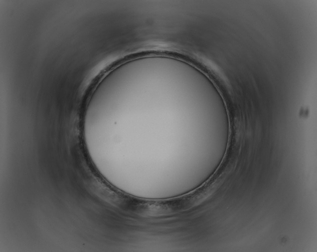 X0000092251318200710051251