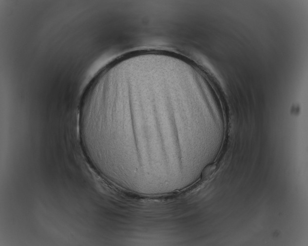 X0000092251320200710051251