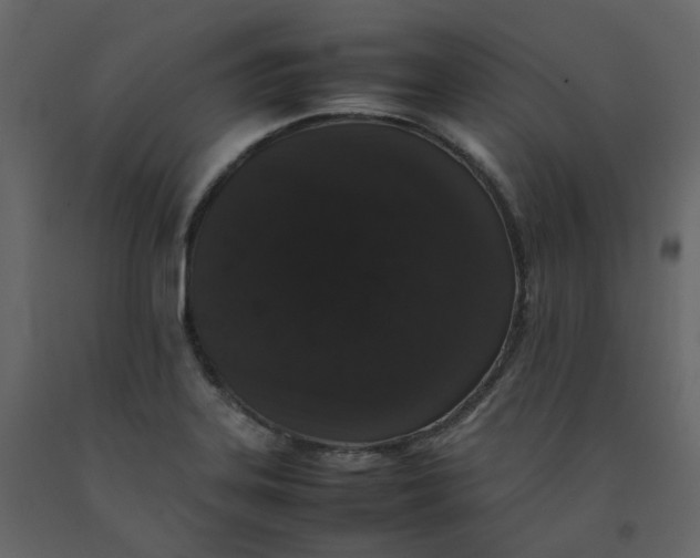 X0000092251323200710051251