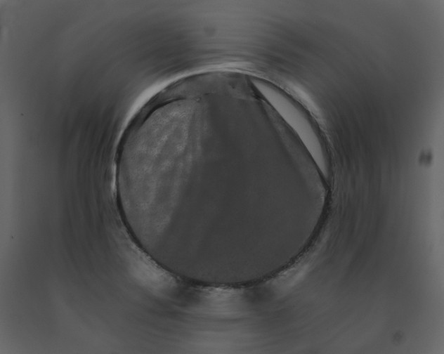 X0000092251324200710051251