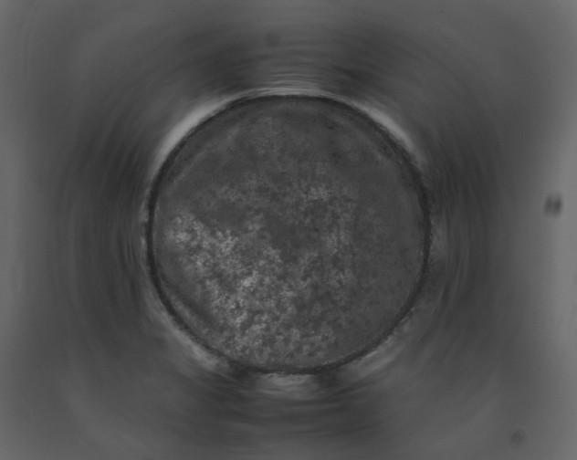 X0000092251325200710051251