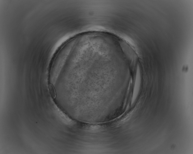 X0000092251326200710051251