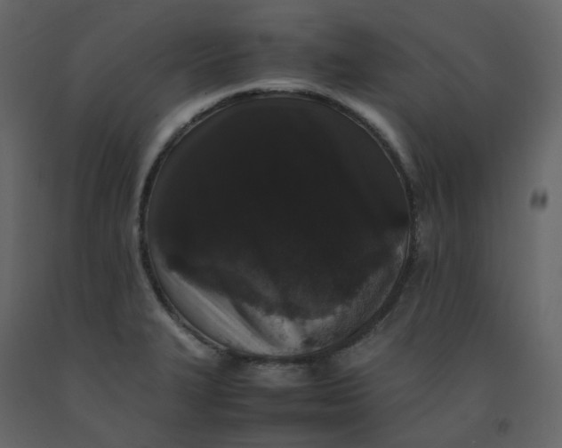 X0000092251327200710051251