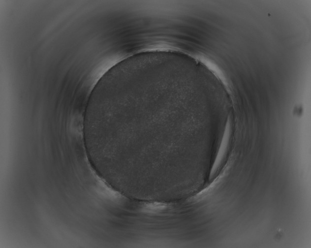 X0000092251329200710051251