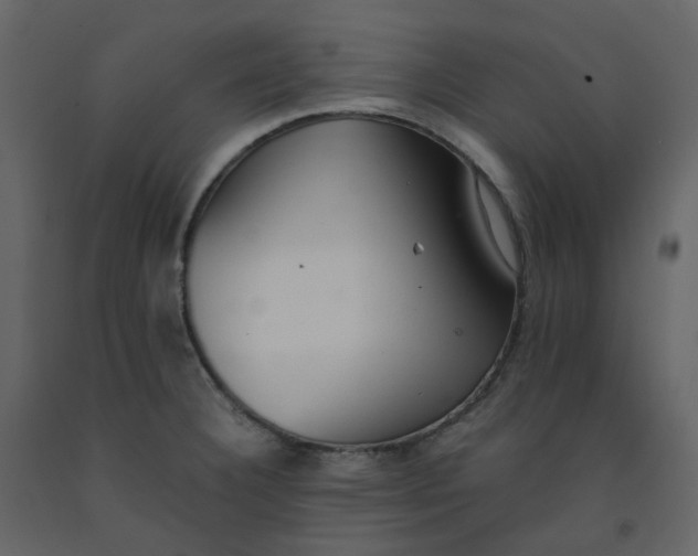 X0000092251332200710051251