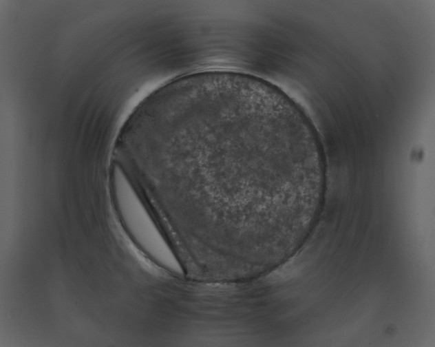 X0000092251333200710051251