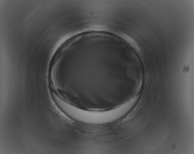 X0000092251334200710051251