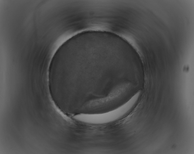 X0000092251335200710051251