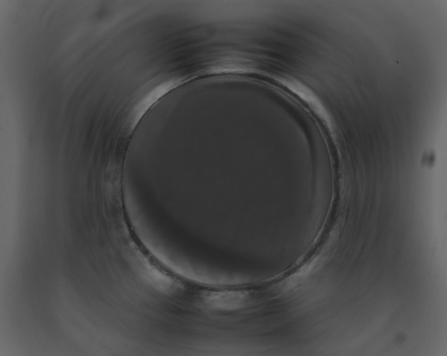 X0000092251337200710051251